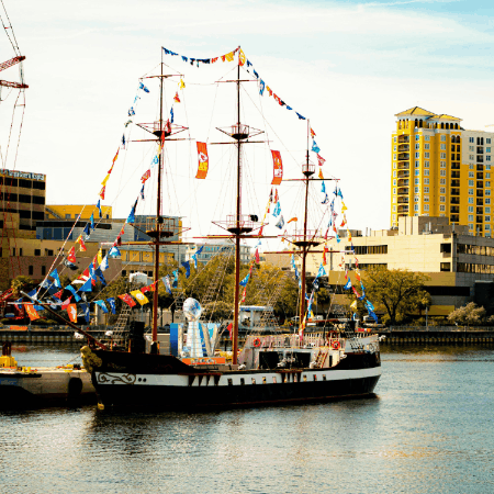 normanbadger giphygifmaker giphyattribution norman badger GIF