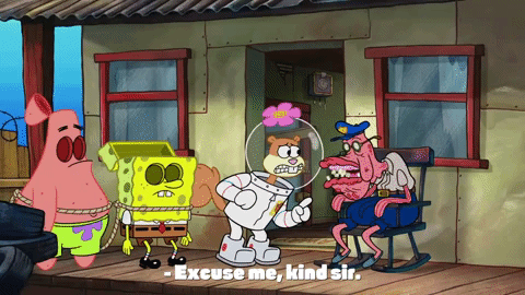episode 1 whirly brains GIF by SpongeBob SquarePants