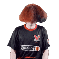 Hair Facepalm Sticker by Virtus.pro