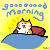 Good Morning Cat GIF by Poku Meow