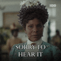 Sorry Audra Mcdonald GIF by HBO Max