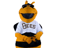 bumble bee baseball Sticker by Salt Lake Bees