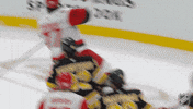Happy Carolina Hurricanes GIF by NHL