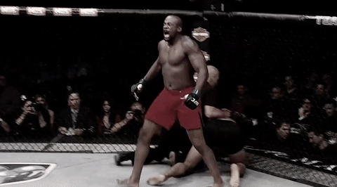 episode 2 ufc GIF