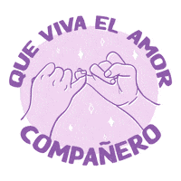 San Valentin Love Sticker by VDP Noticias