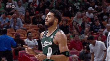 Boston Celtics Sport GIF by NBA