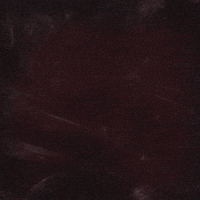 Ending The End GIF by Tom Spoon
