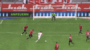 f95 GIF by Fortuna Düsseldorf