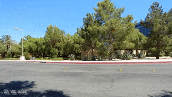 sports car chevy GIF by Off The Jacks