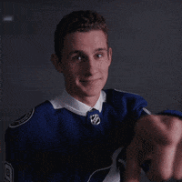 ice hockey sport GIF by NHL