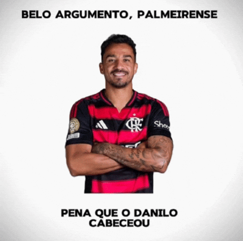 Flamengo Vs Palmeiras Edite GIF