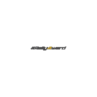 Fiesta R2 Sticker by M-Sport