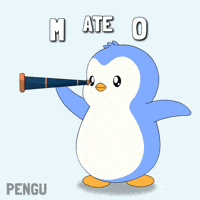 Penguin Mateo GIF by Pudgy Penguins