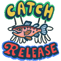 Catch And Release Sticker by recast market
