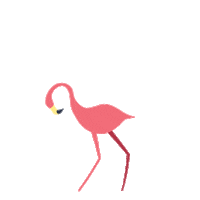 Madison Wisconsin Flamingo Sticker by hilldalemadison