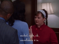 season 1 netflix GIF by Gilmore Girls 