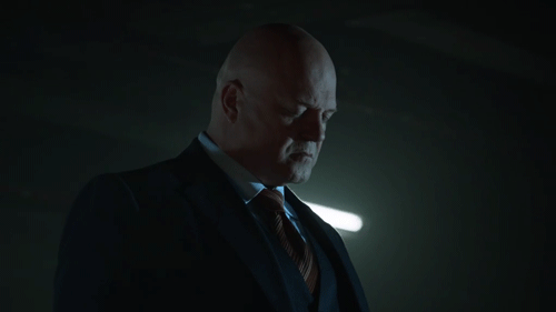 mad city fox GIF by Gotham