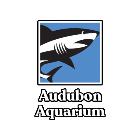 audubonnature audubon audubon nature institute audubon nature audubon aquarium Sticker