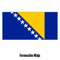 Bosnia And Herzegovina Flag GIF by Formación Ninja