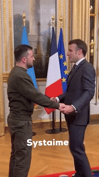 Macron GIF by systaime