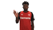 Bye Bye Leverkusen Sticker by Bundesliga