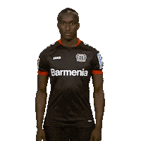 Posing Bayer 04 Sticker by Bundesliga