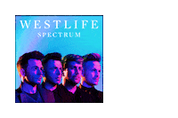 Spectrum Sticker by Westlife