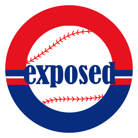 baseball expose Sticker by Hayley Elsaesser
