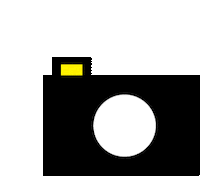 Camera Picture Sticker by BX Design Group