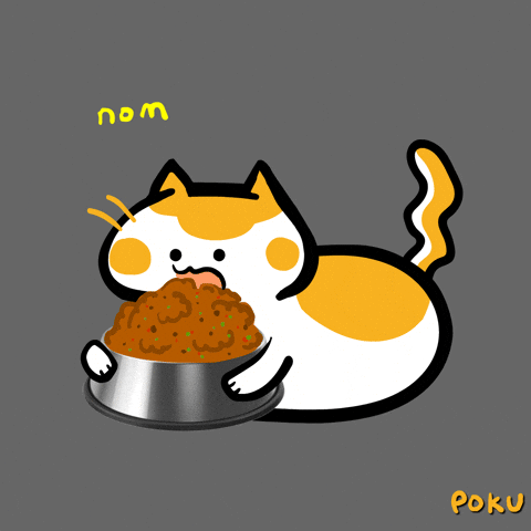 Hungry Cat Food GIF by Poku Meow