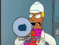 Season 1 Episode 3 GIF by The Simpsons