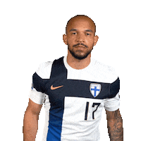 Euro Cup Football Sticker by Huuhkajat
