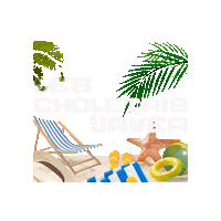 Summer Cholet Sticker