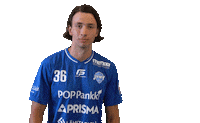 F-liiga floorball salibandy innebandy f-liiga Sticker