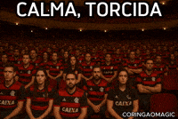 Flamengo GIF