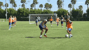GIF by NYCFC