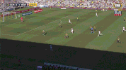 western sydney wanderers football GIF by wswanderersfc