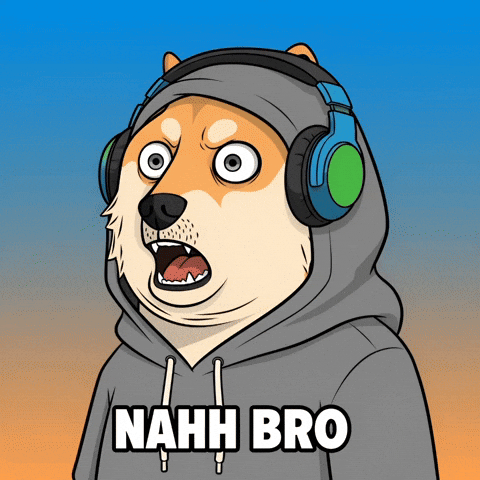 Shocked No Way GIF by Doge Pound