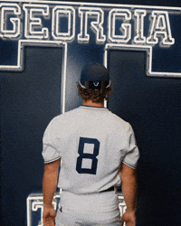 Georgia Tech Baseball GIF by Georgia Tech Yellow Jackets