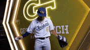 Georgia Tech Baseball GIF by Georgia Tech Yellow Jackets