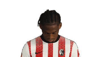 Look Up Sc Freiburg Sticker by Bundesliga