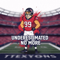 Houston Texans Football GIF by Doge Pound