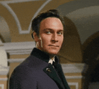 Yeah Right Lol GIF by slicedbread