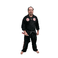 Karate Taekwondo Sticker by Team GMA