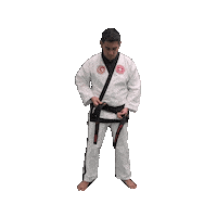 Karate Taekwondo Sticker by Team GMA