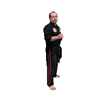 Karate Taekwondo Sticker by Team GMA