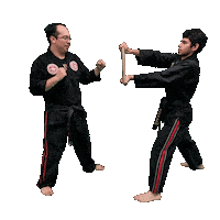 Karate Taekwondo Sticker by Team GMA
