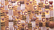 Cuc GIF by CUCougars