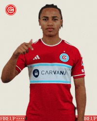 Happy Chicago Fire GIF by Chicago Fire Football Club