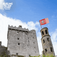 Hurling Bge GIF by Bold Studios